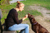 5 Fun New Ways to Give Your Dog Treats