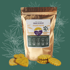 Small Dog Pumpkin Flavored Organic Hemp Dog Treats – 2mg each